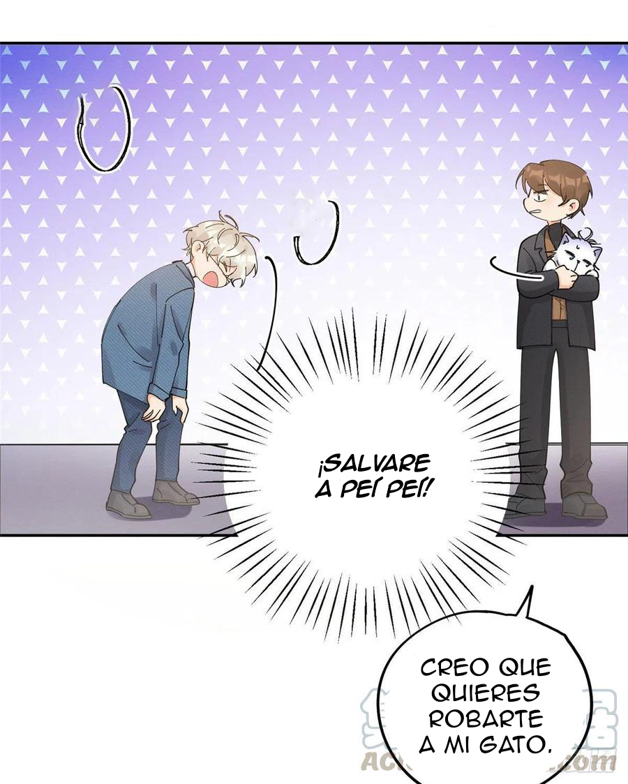 3 Tengo que trabajar duro para ser un gato hoy!