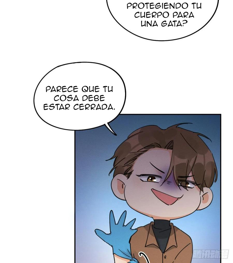 46 Tengo que trabajar duro para ser un gato hoy!