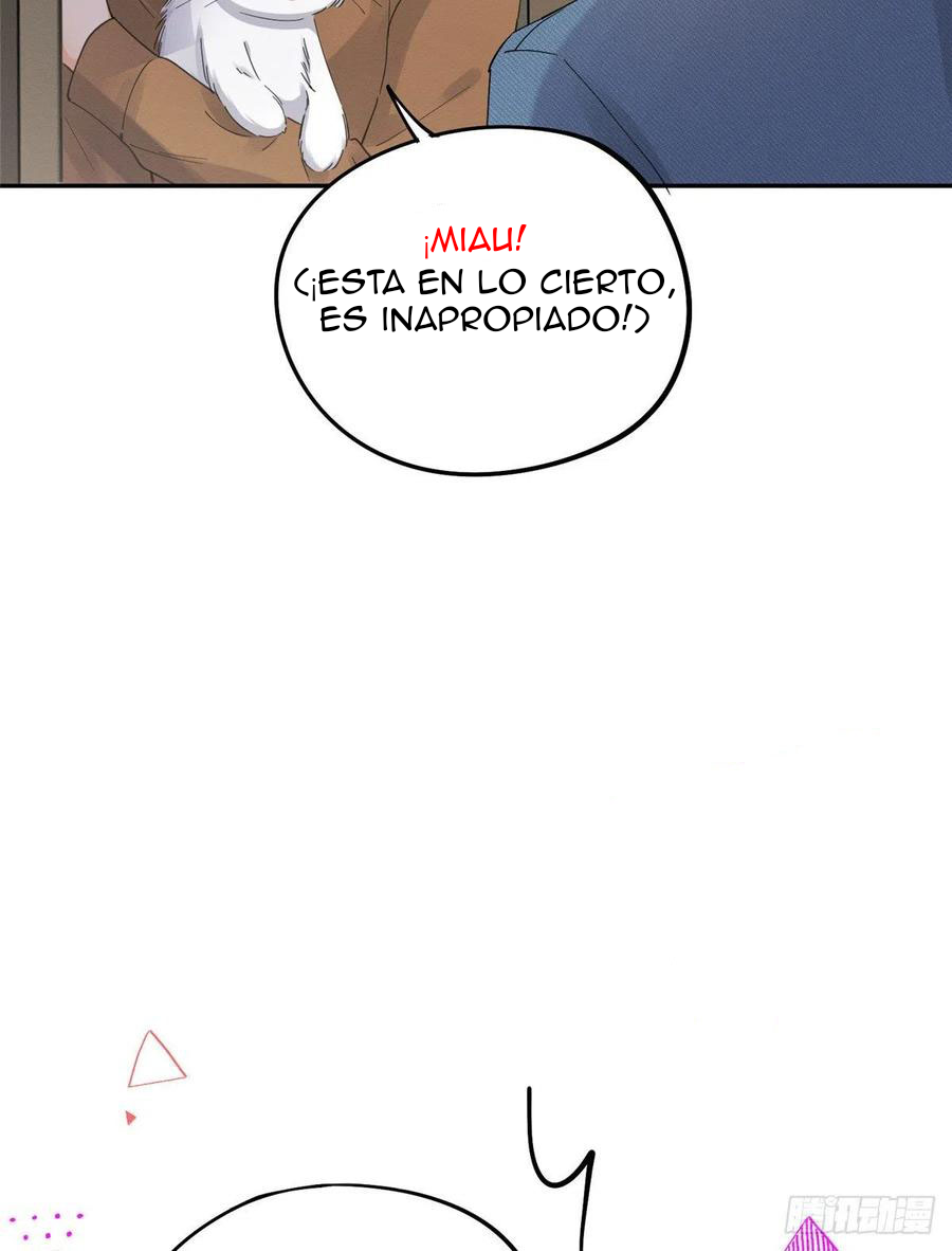 11 Tengo que trabajar duro para ser un gato hoy!