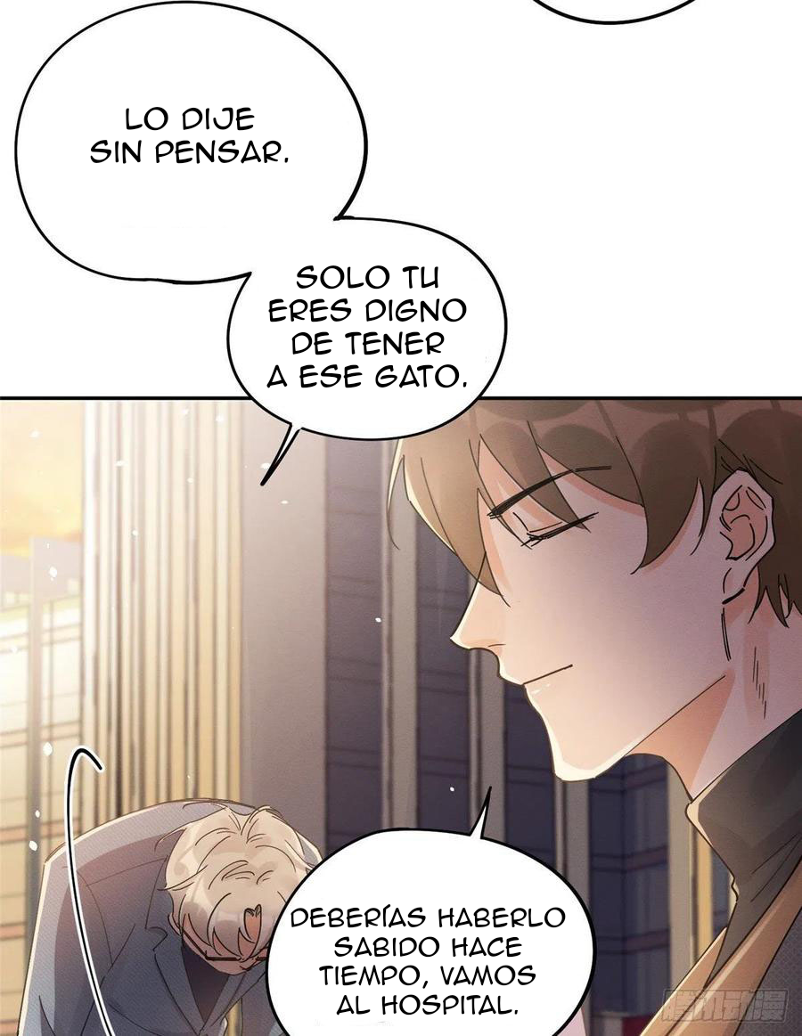 4 Tengo que trabajar duro para ser un gato hoy!