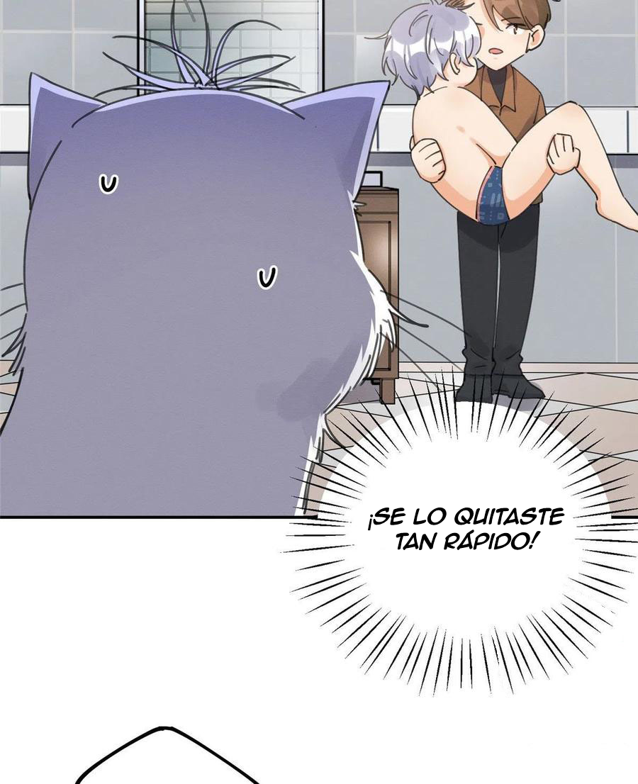 19 Tengo que trabajar duro para ser un gato hoy!