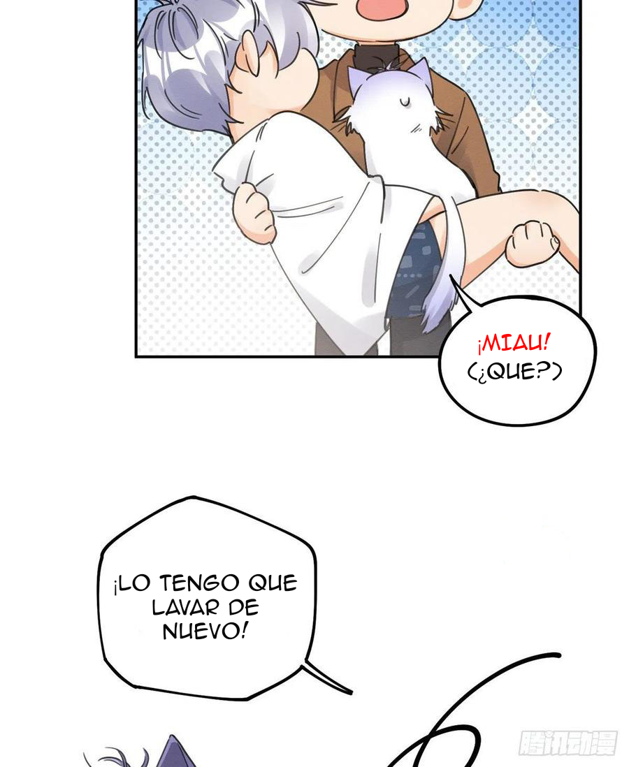 31 Tengo que trabajar duro para ser un gato hoy!