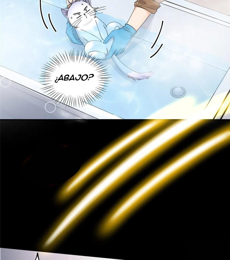 44 Tengo que trabajar duro para ser un gato hoy!