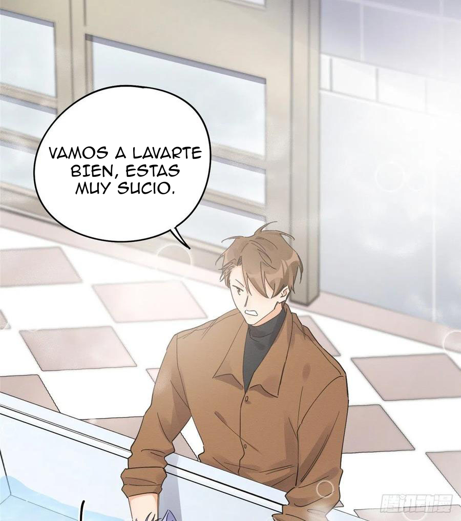 43 Tengo que trabajar duro para ser un gato hoy!