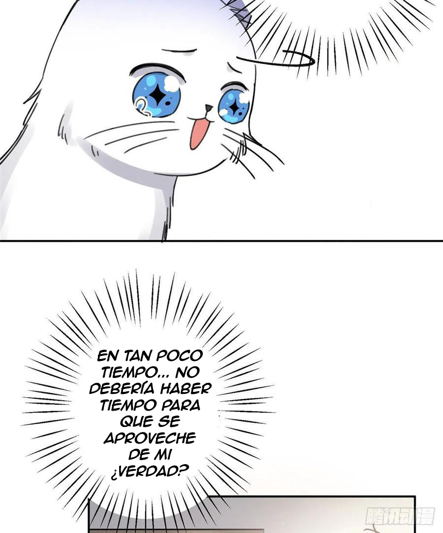 35 Tengo que trabajar duro para ser un gato hoy!