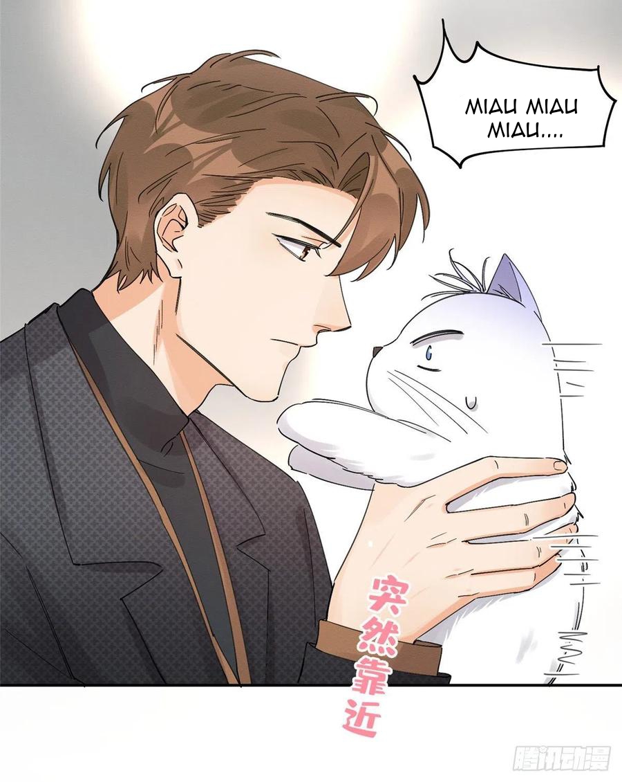 28 Tengo que trabajar duro para ser un gato hoy!