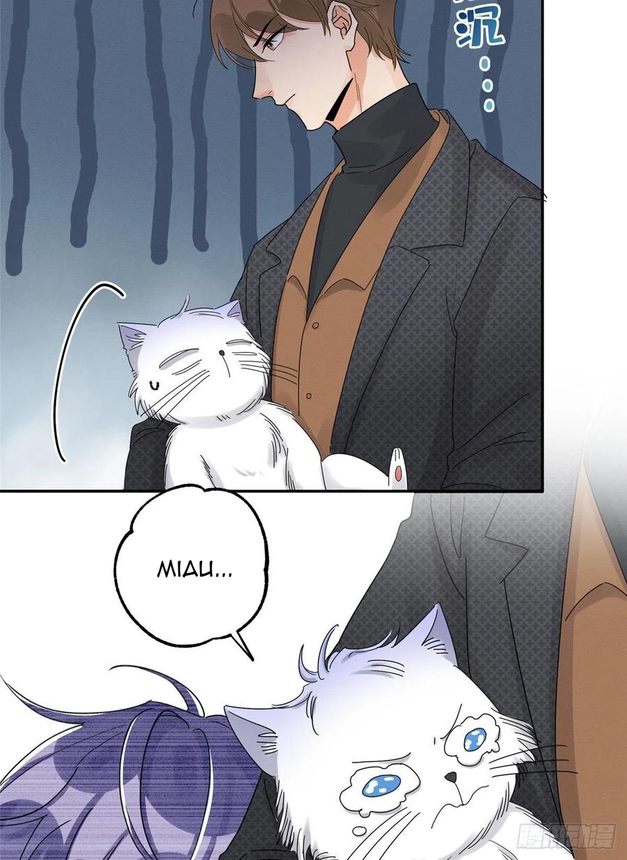 19 Tengo que trabajar duro para ser un gato hoy!