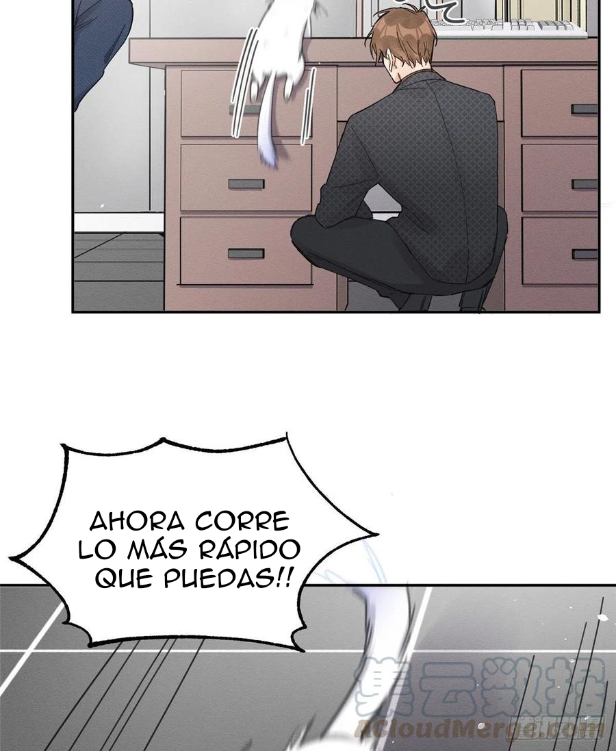 15 Tengo que trabajar duro para ser un gato hoy!