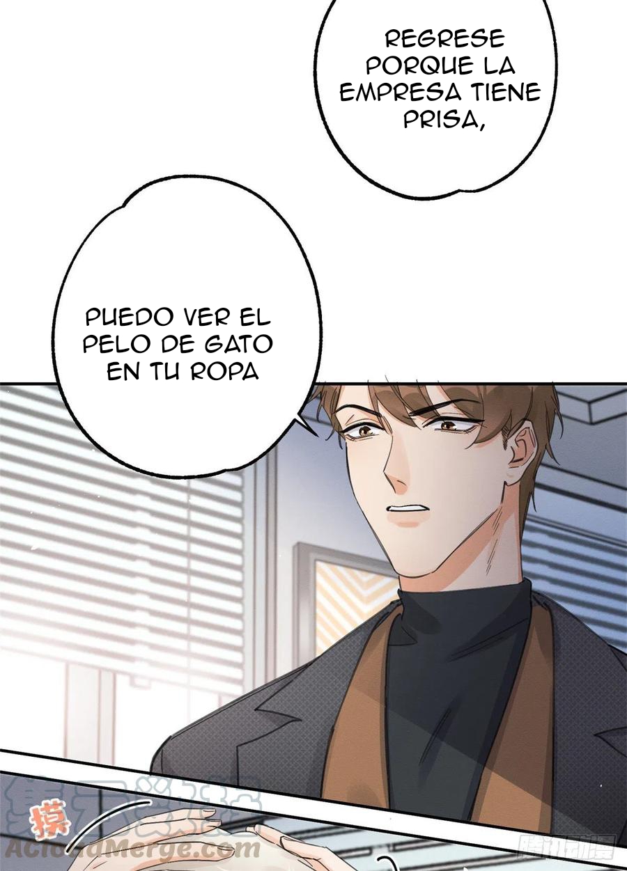 3 Tengo que trabajar duro para ser un gato hoy!