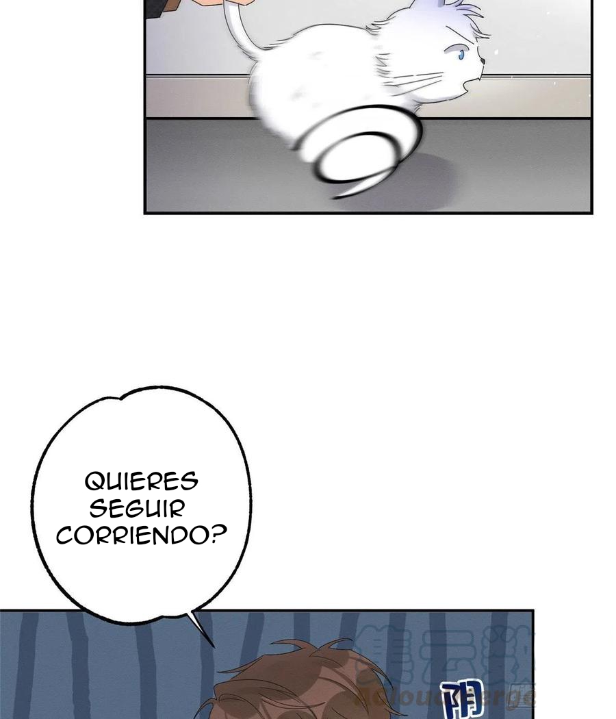 18 Tengo que trabajar duro para ser un gato hoy!