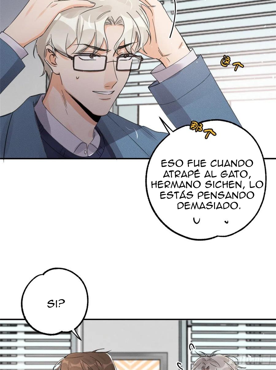 4 Tengo que trabajar duro para ser un gato hoy!