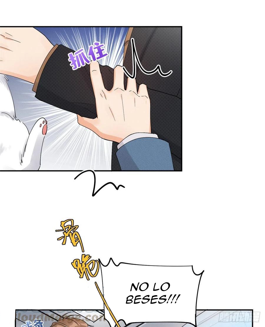 30 Tengo que trabajar duro para ser un gato hoy!