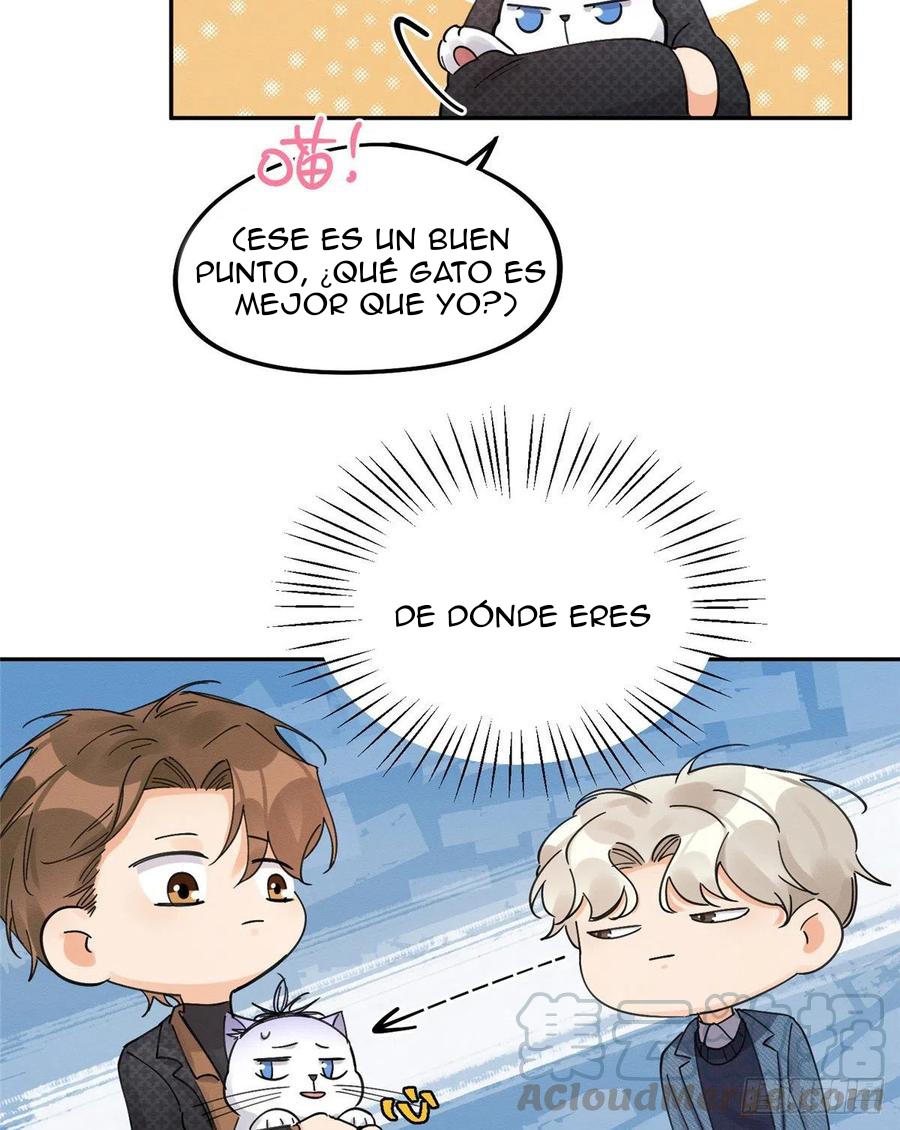 24 Tengo que trabajar duro para ser un gato hoy!