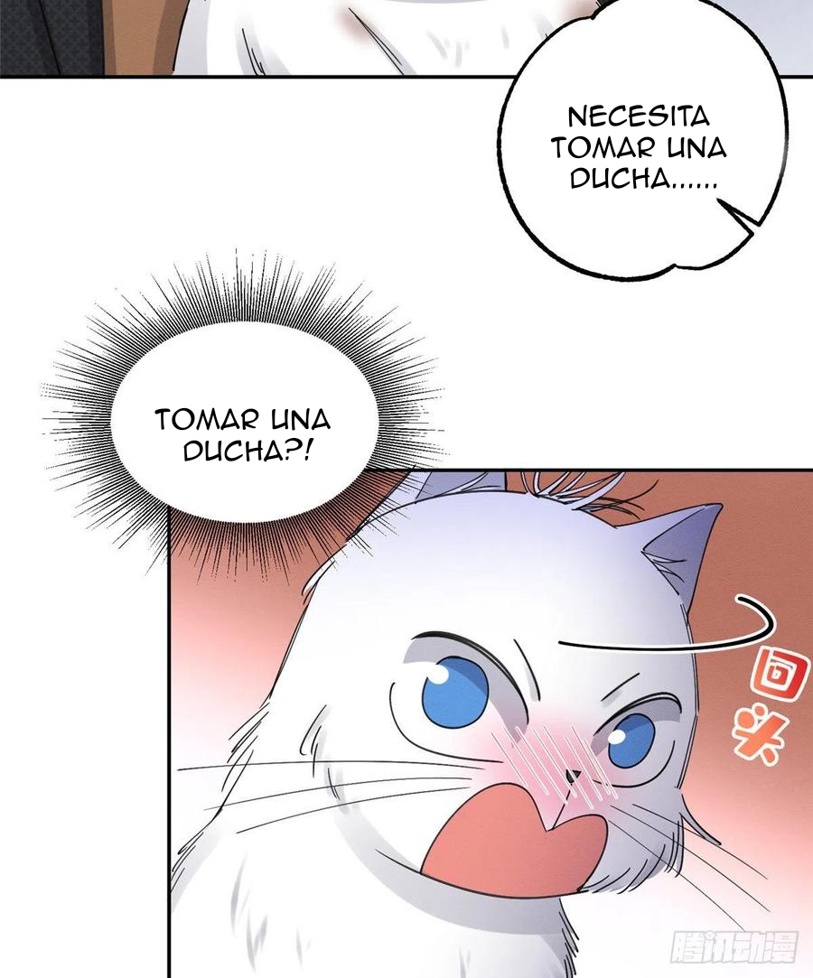 34 Tengo que trabajar duro para ser un gato hoy!