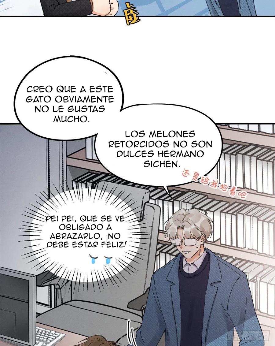 25 Tengo que trabajar duro para ser un gato hoy!