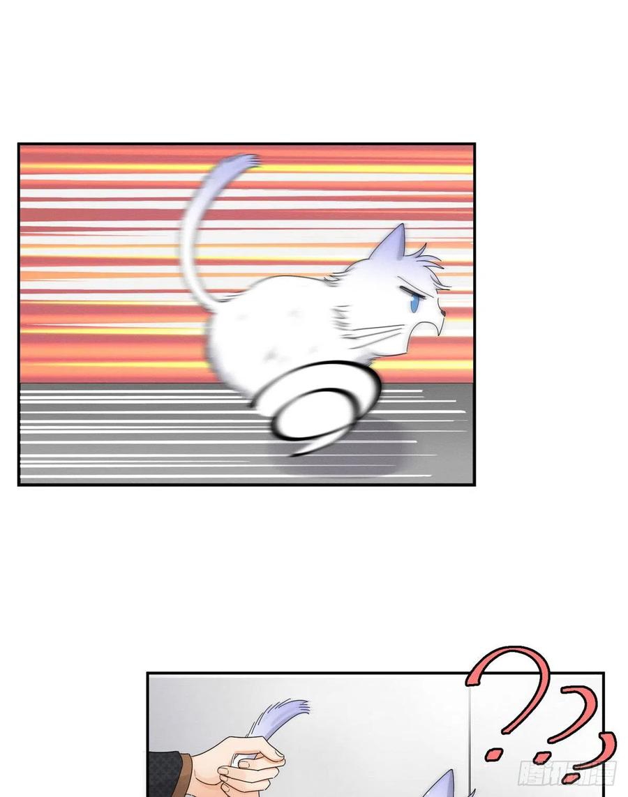 17 Tengo que trabajar duro para ser un gato hoy!