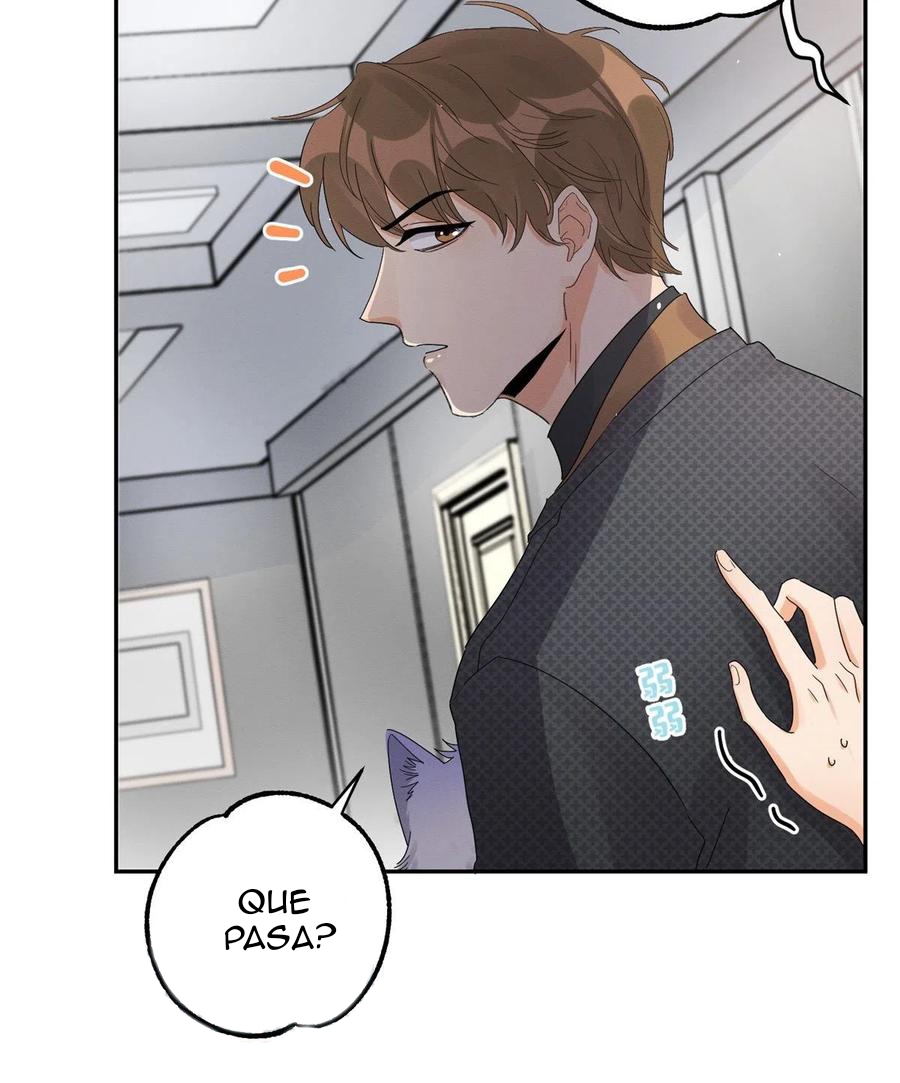 21 Tengo que trabajar duro para ser un gato hoy!