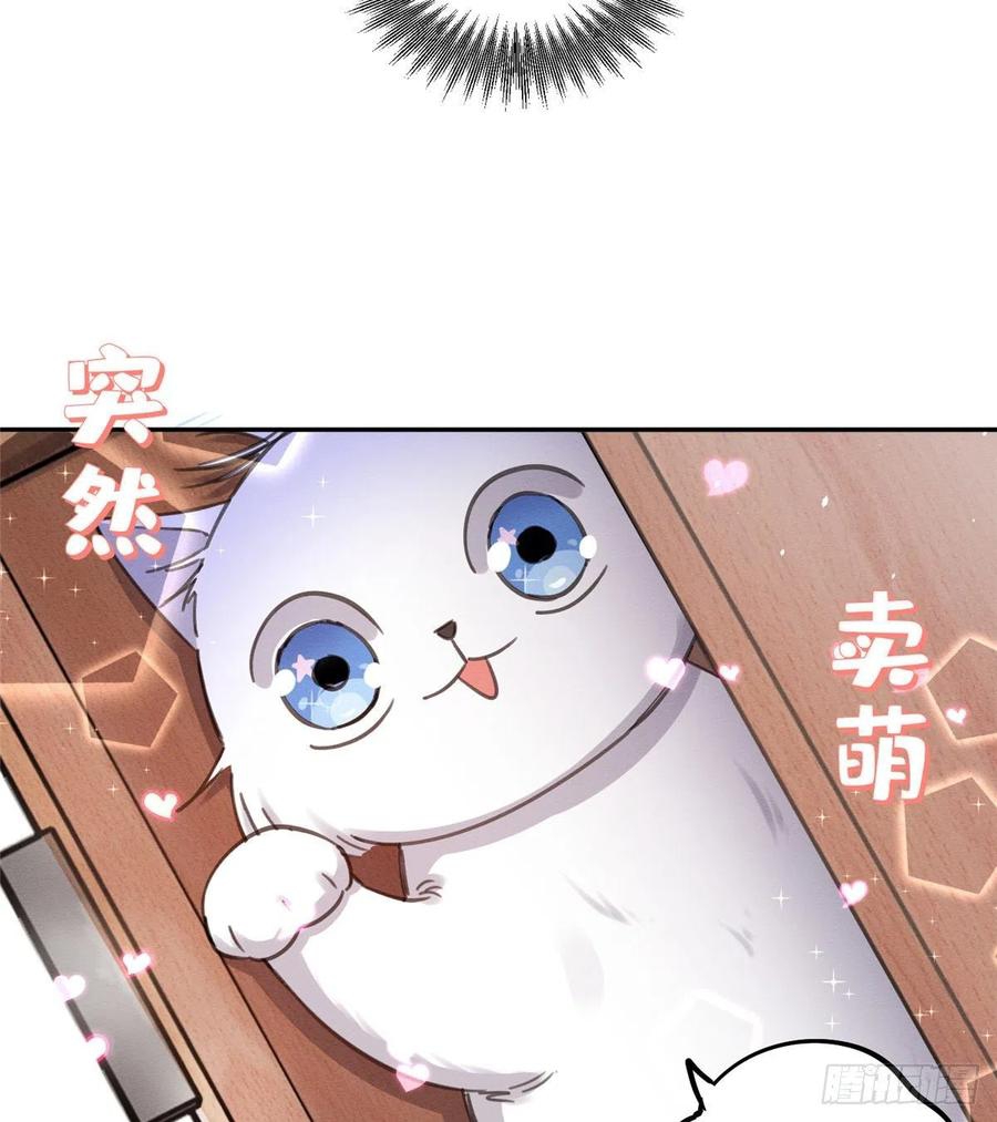 13 Tengo que trabajar duro para ser un gato hoy!