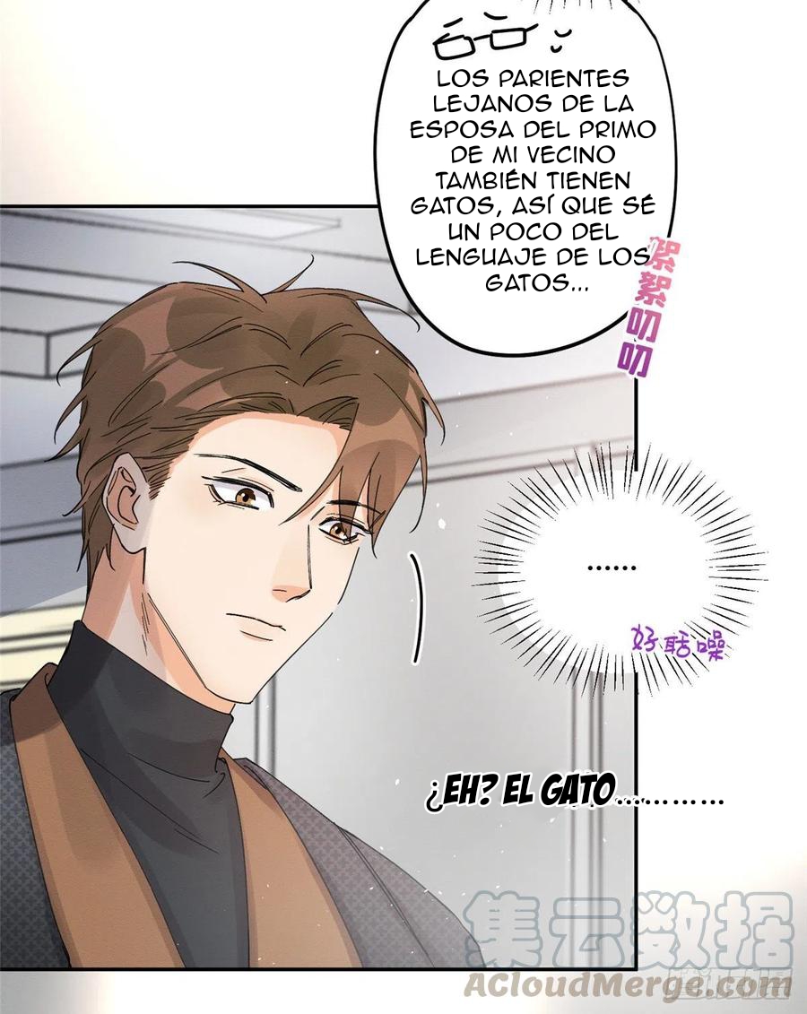 27 Tengo que trabajar duro para ser un gato hoy!