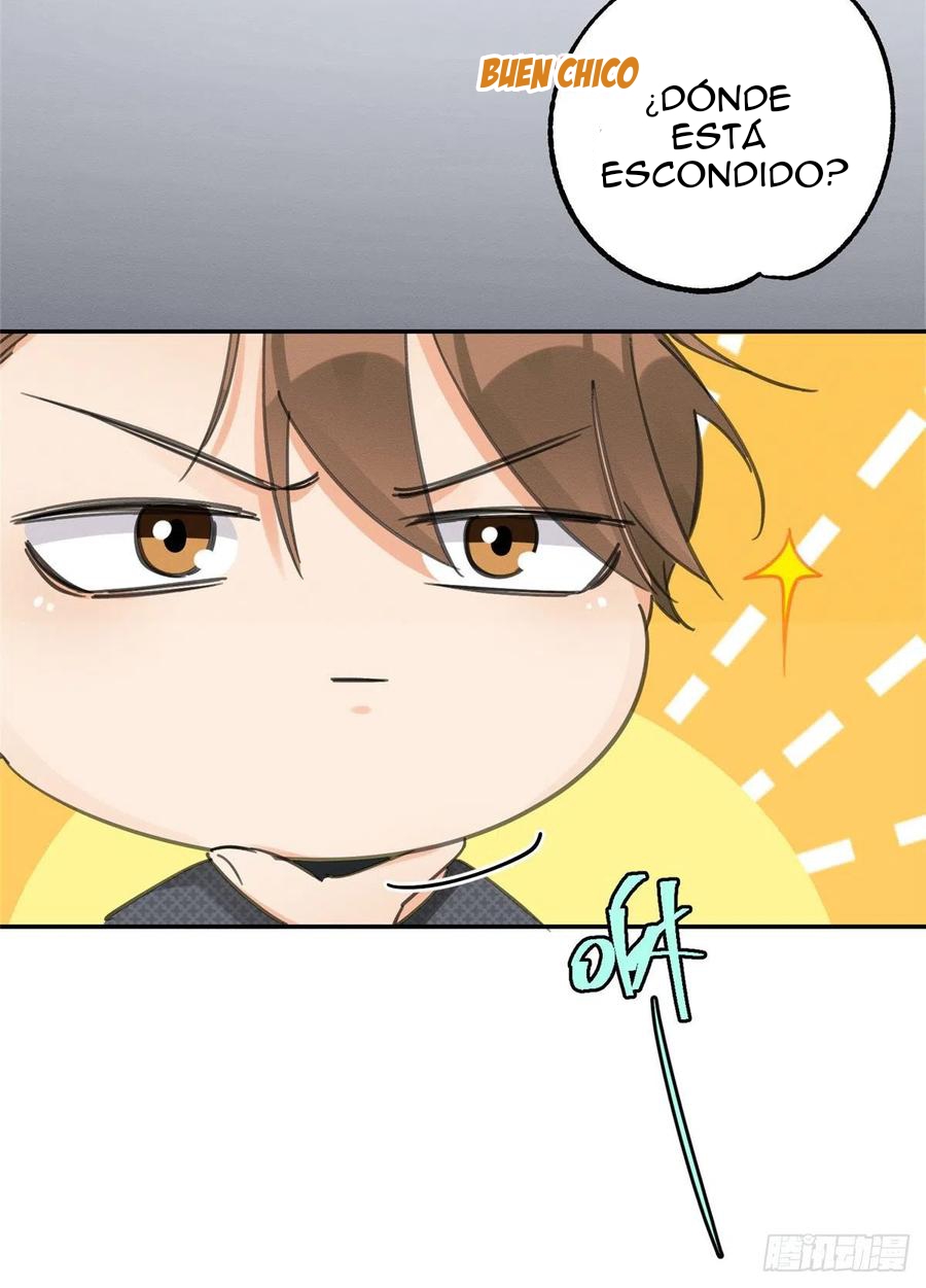 7 Tengo que trabajar duro para ser un gato hoy!