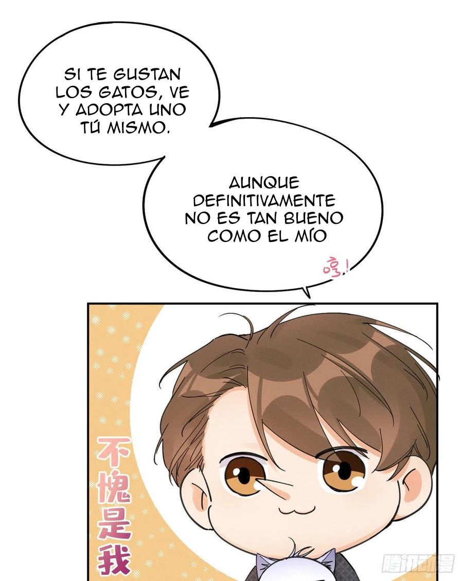 23 Tengo que trabajar duro para ser un gato hoy!