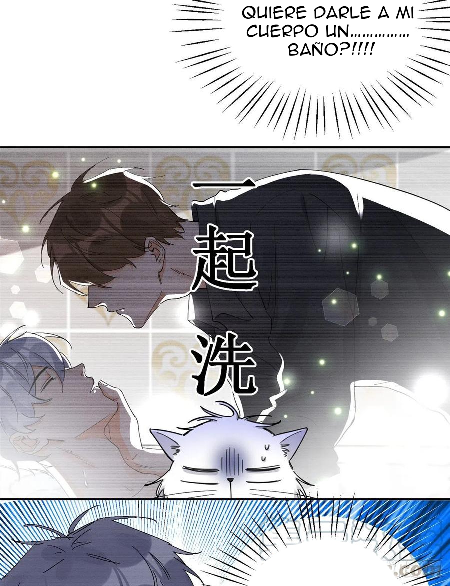 42 Tengo que trabajar duro para ser un gato hoy!