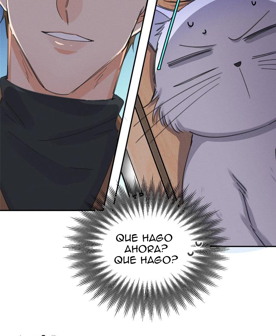 11 Tengo que trabajar duro para ser un gato hoy!