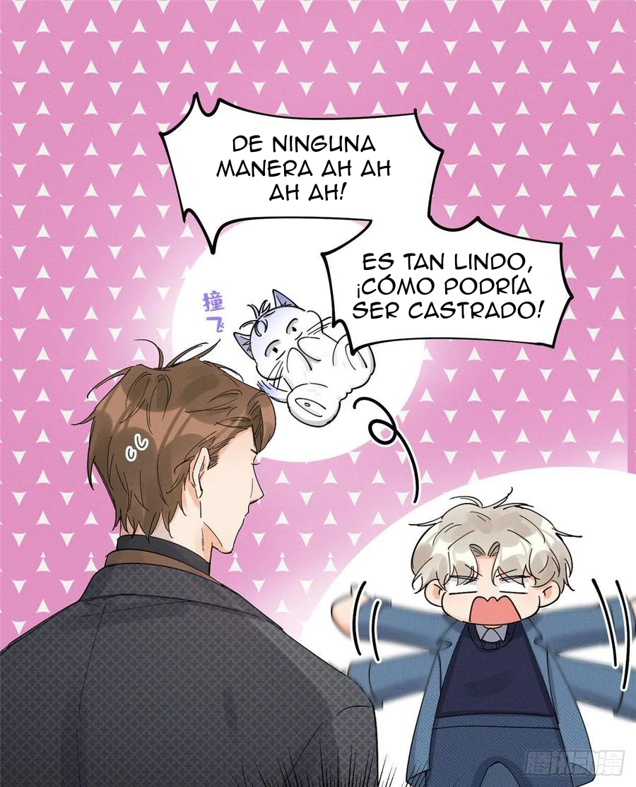 37 Tengo que trabajar duro para ser un gato hoy!