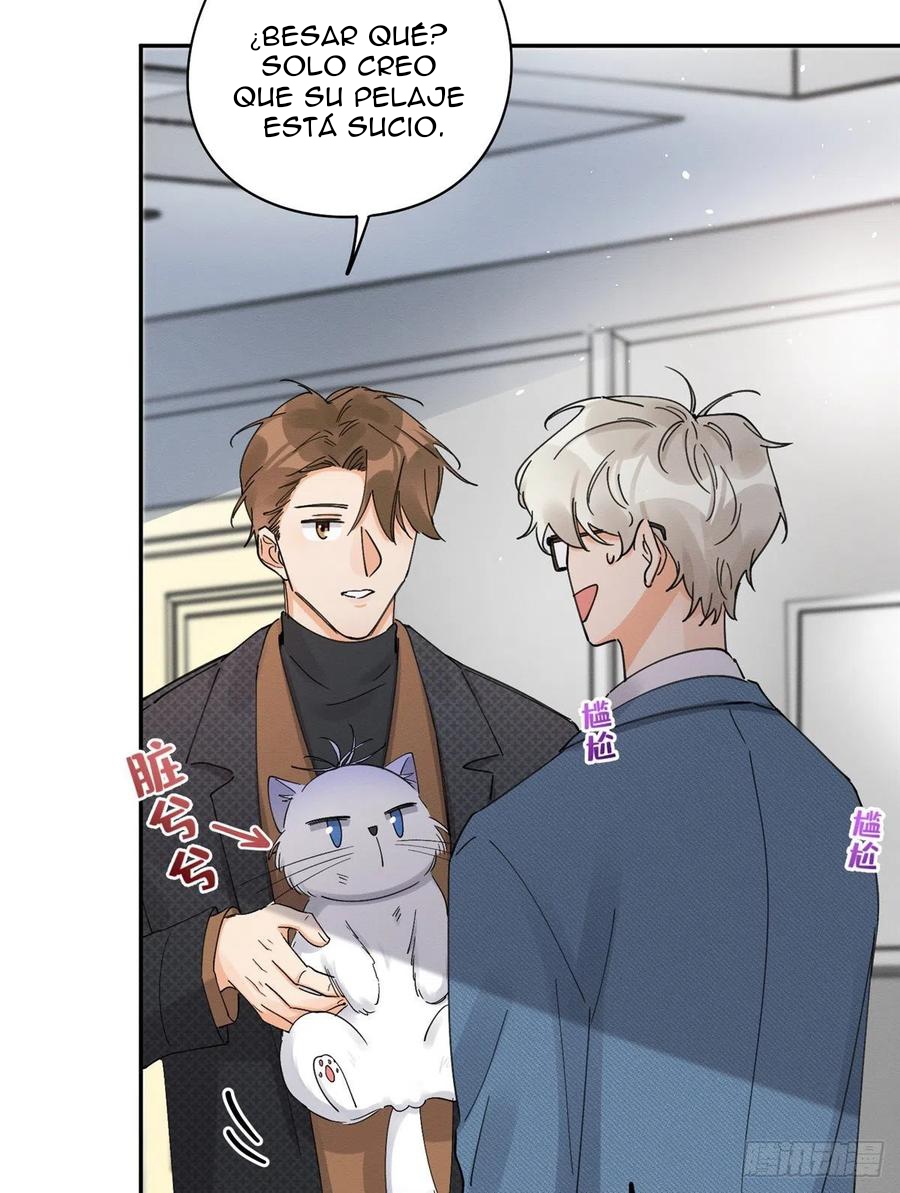 32 Tengo que trabajar duro para ser un gato hoy!