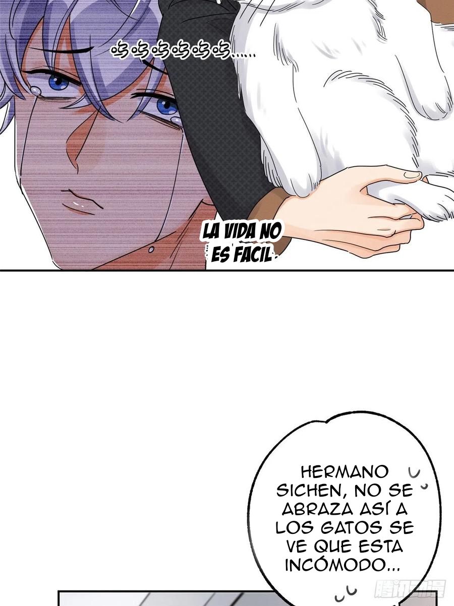 20 Tengo que trabajar duro para ser un gato hoy!