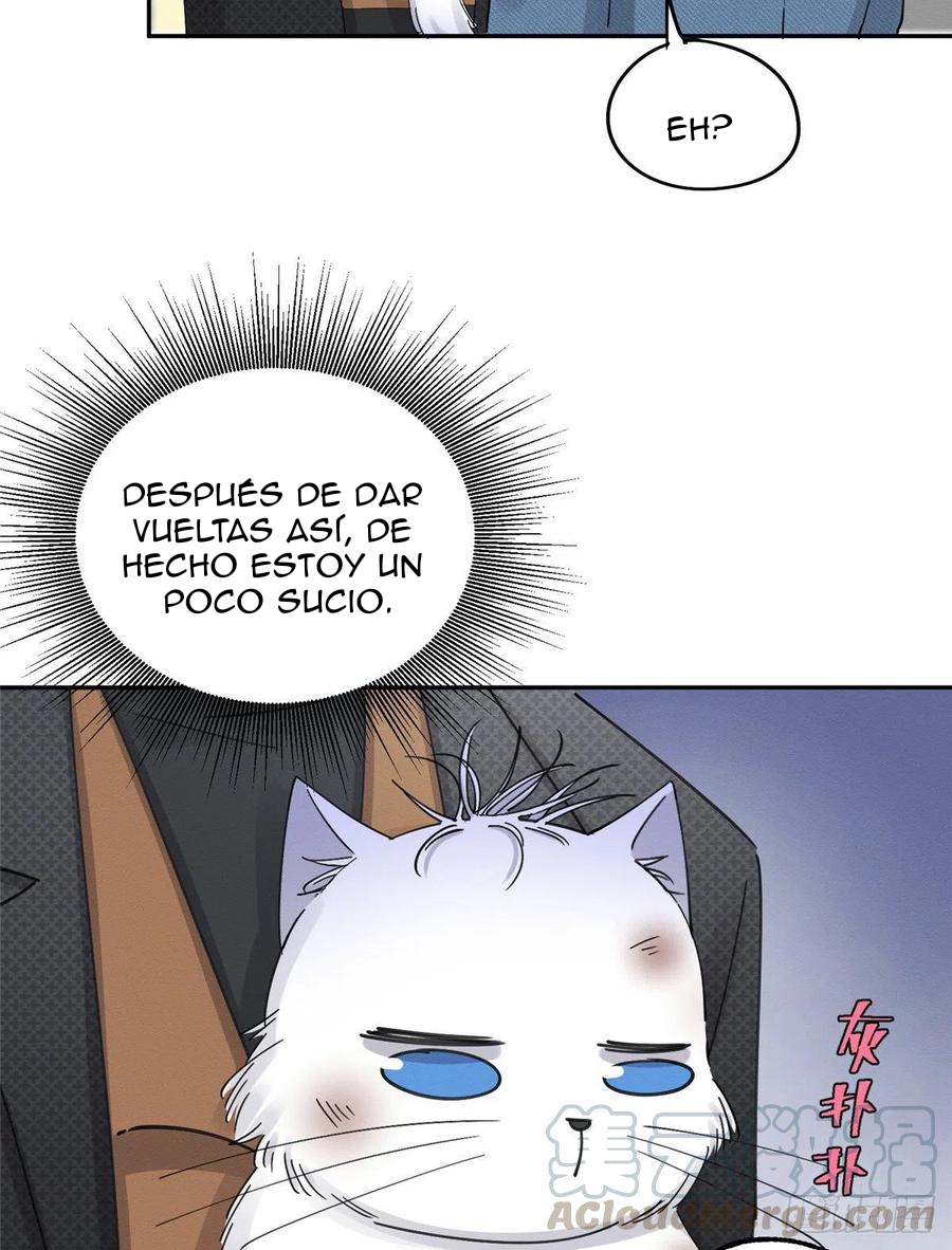 33 Tengo que trabajar duro para ser un gato hoy!