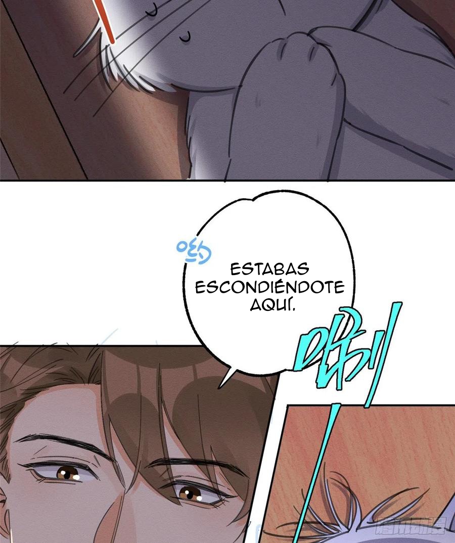 10 Tengo que trabajar duro para ser un gato hoy!