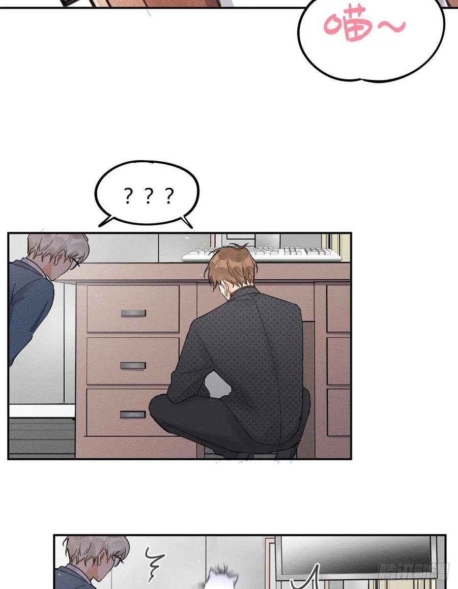 14 Tengo que trabajar duro para ser un gato hoy!