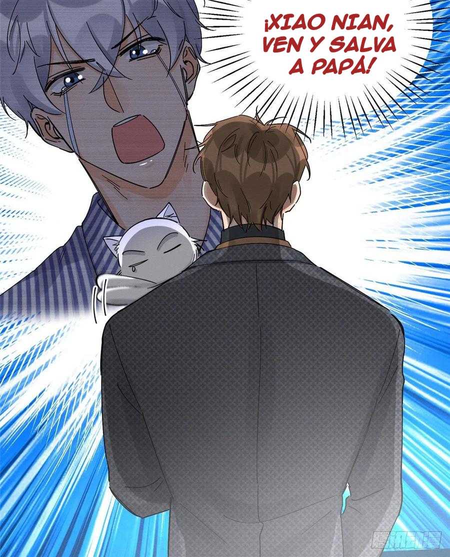 43 Tengo que trabajar duro para ser un gato hoy!