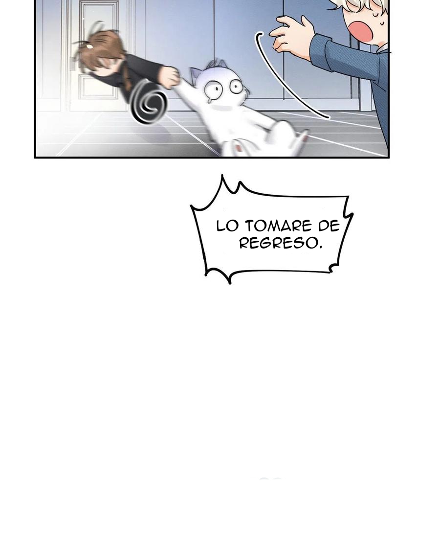 39 Tengo que trabajar duro para ser un gato hoy!