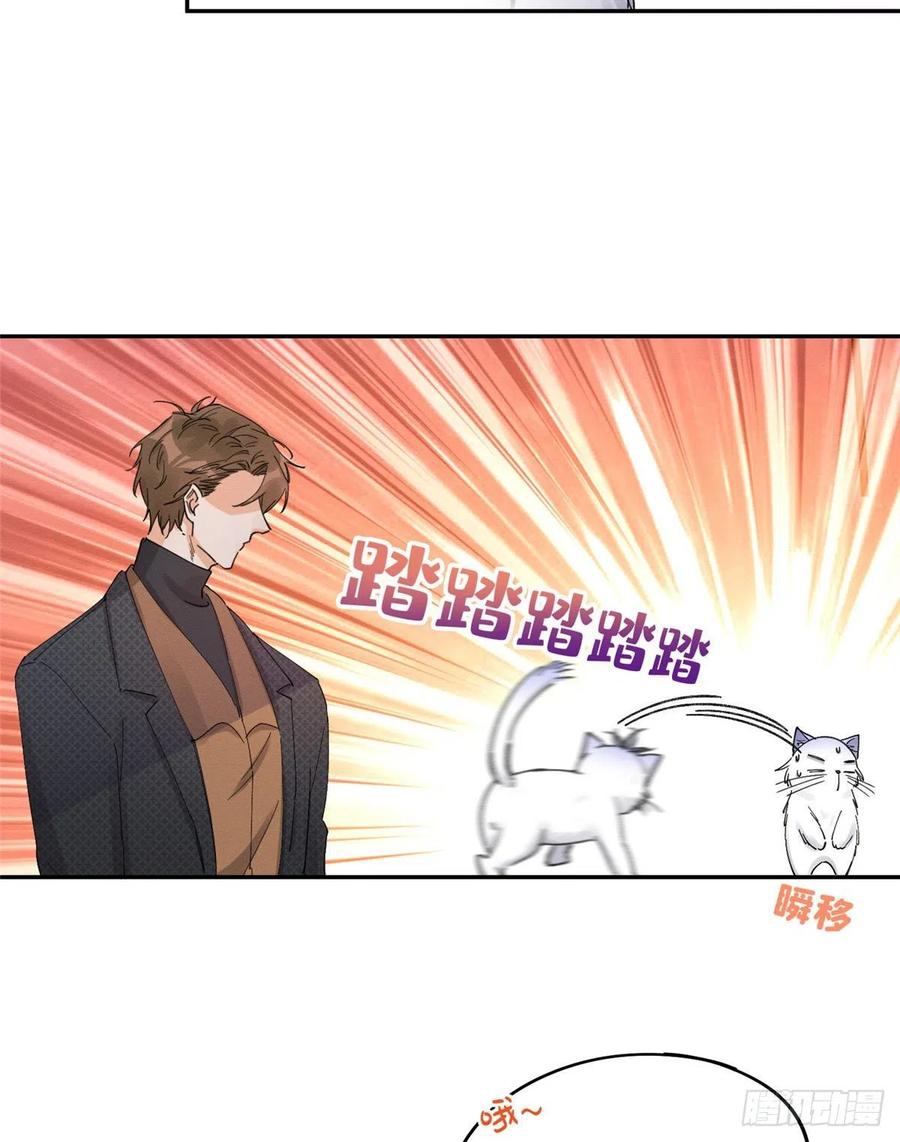 35 Tengo que trabajar duro para ser un gato hoy!