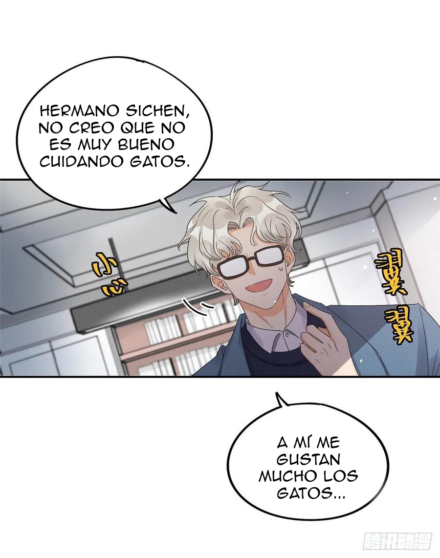 22 Tengo que trabajar duro para ser un gato hoy!