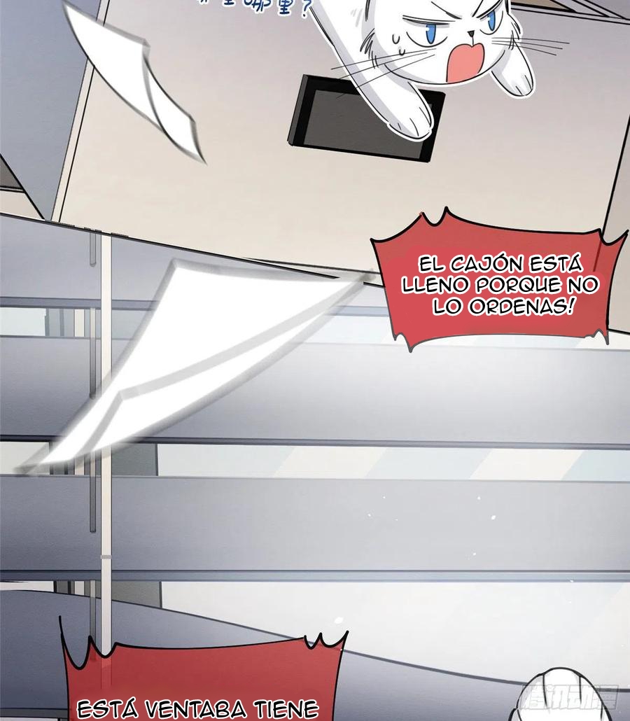 19 Tengo que trabajar duro para ser un gato hoy!