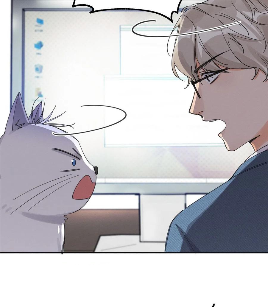 16 Tengo que trabajar duro para ser un gato hoy!