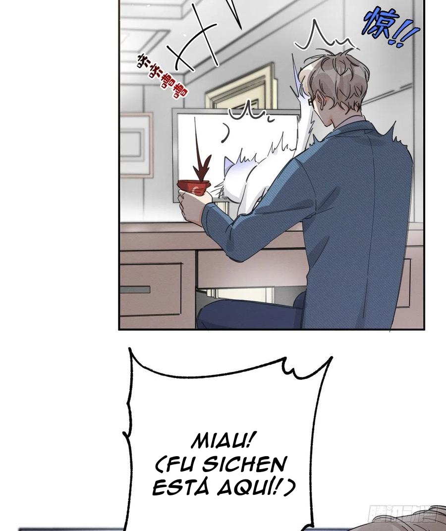 15 Tengo que trabajar duro para ser un gato hoy!