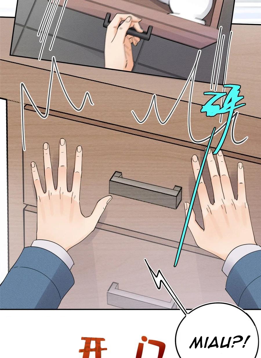 26 Tengo que trabajar duro para ser un gato hoy!