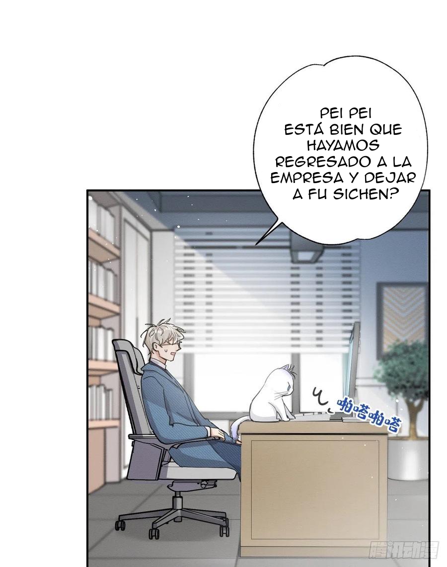 7 Tengo que trabajar duro para ser un gato hoy!