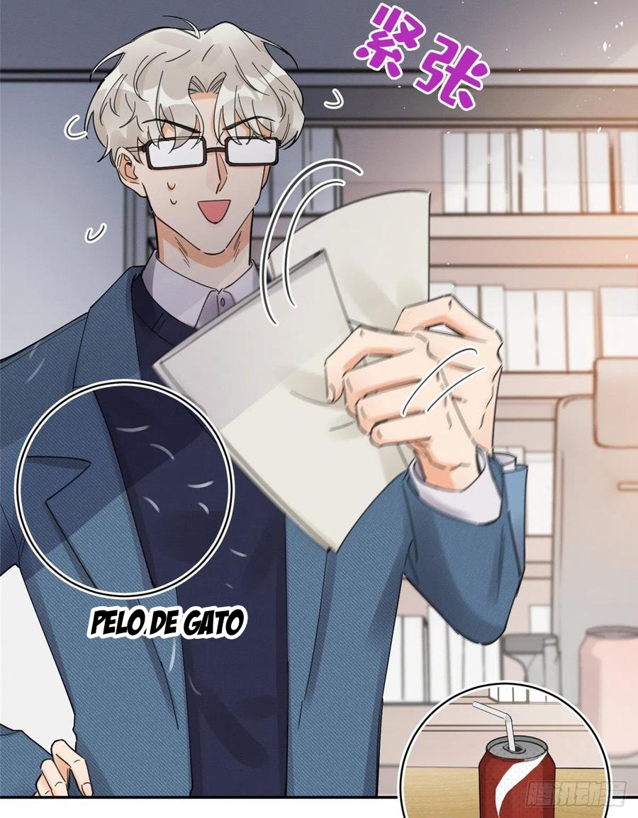 31 Tengo que trabajar duro para ser un gato hoy!