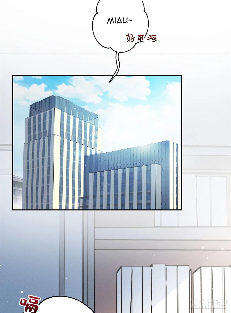 5 Tengo que trabajar duro para ser un gato hoy!