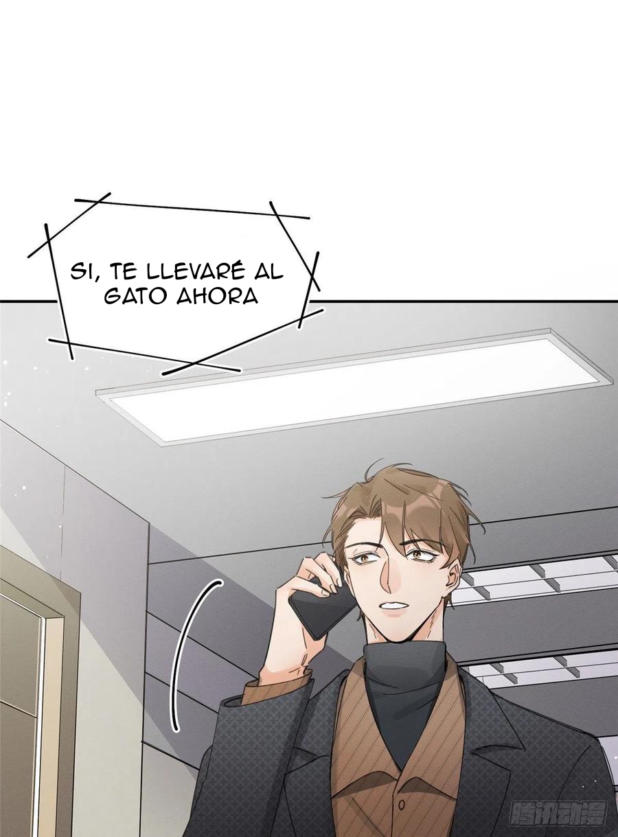 1 Tengo que trabajar duro para ser un gato hoy!