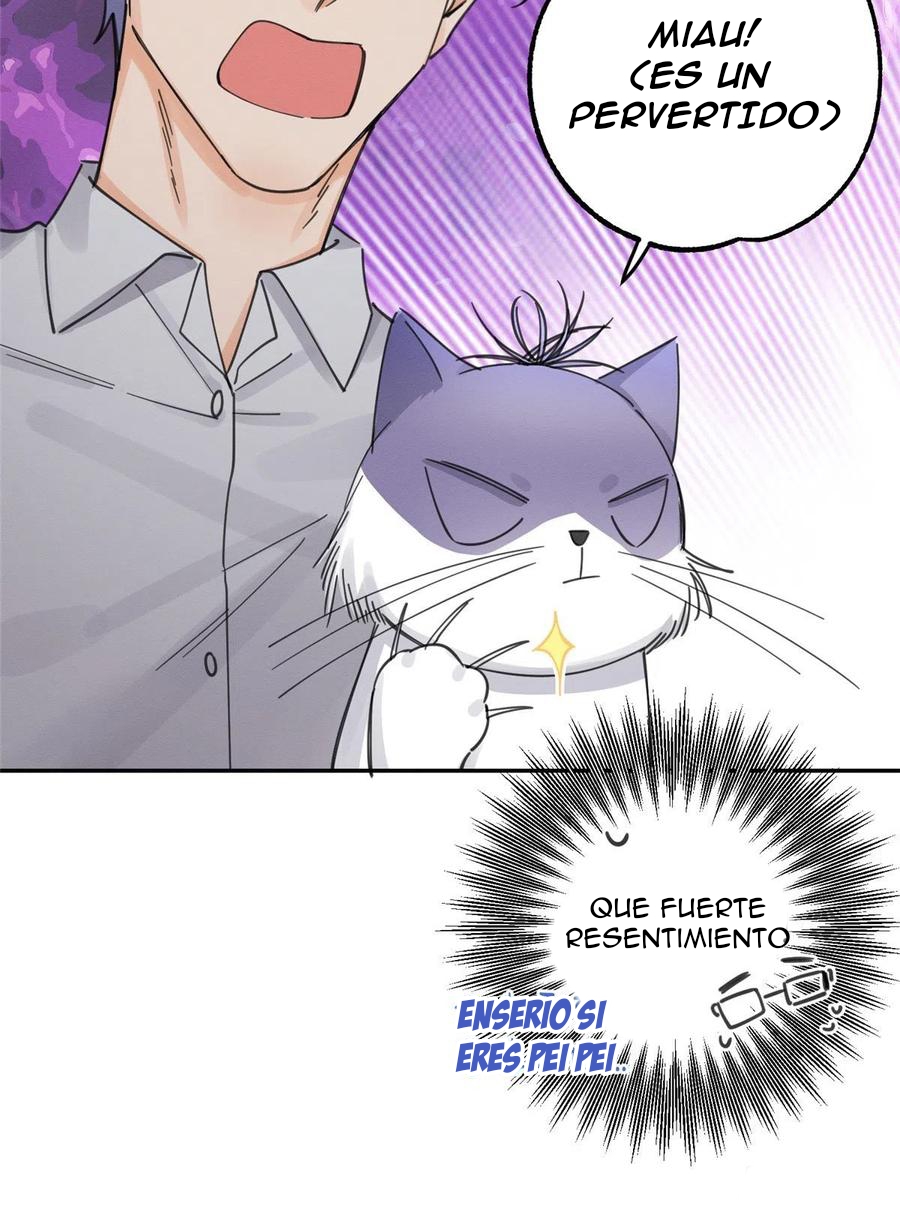 13 Tengo que trabajar duro para ser un gato hoy!