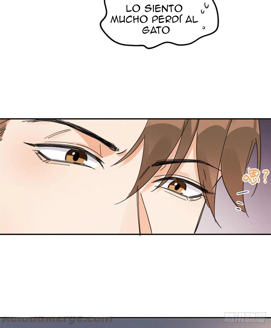 30 Tengo que trabajar duro para ser un gato hoy!