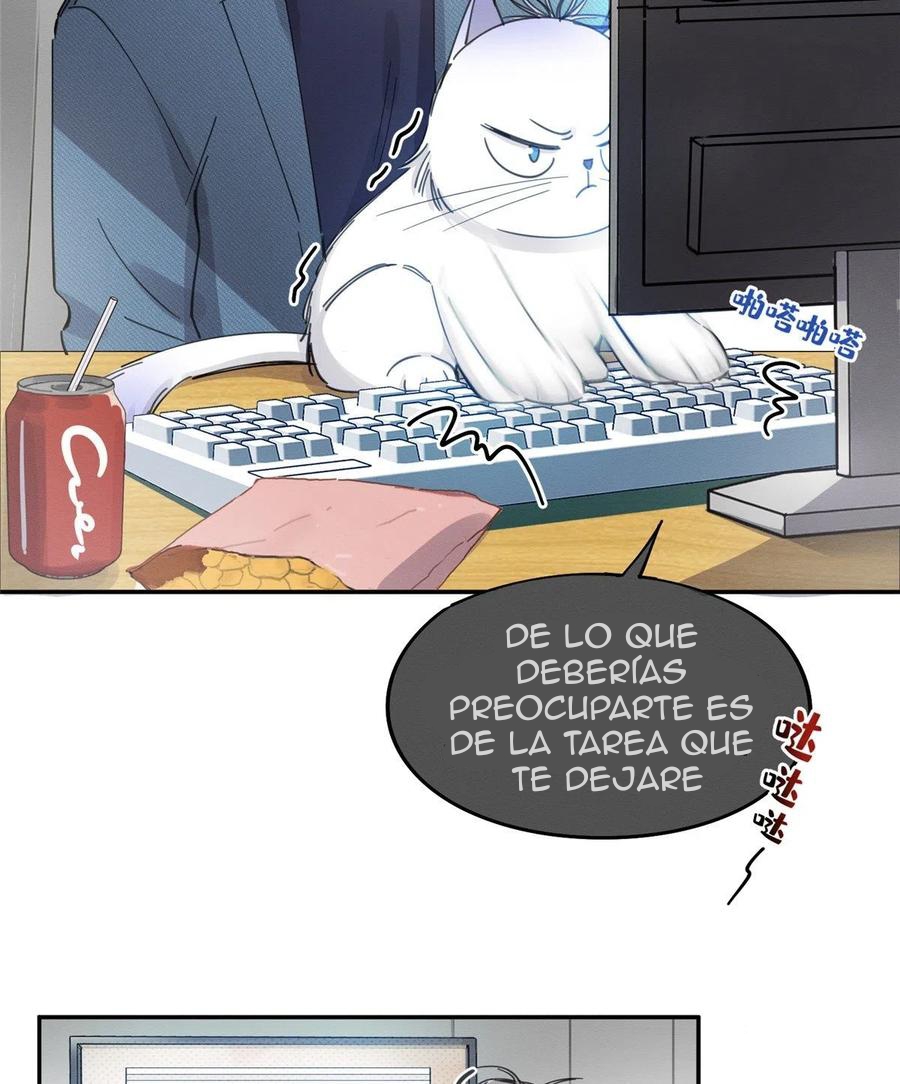 9 Tengo que trabajar duro para ser un gato hoy!