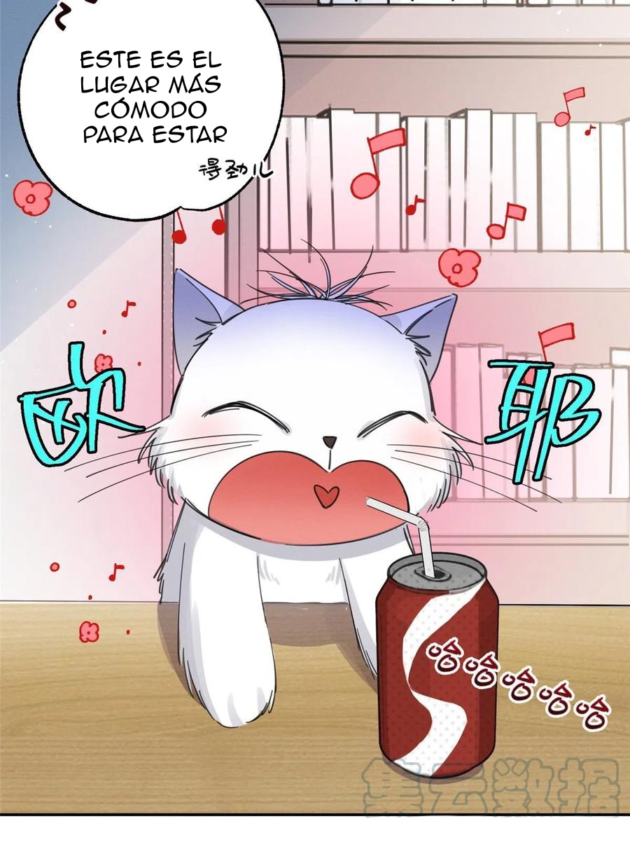 6 Tengo que trabajar duro para ser un gato hoy!