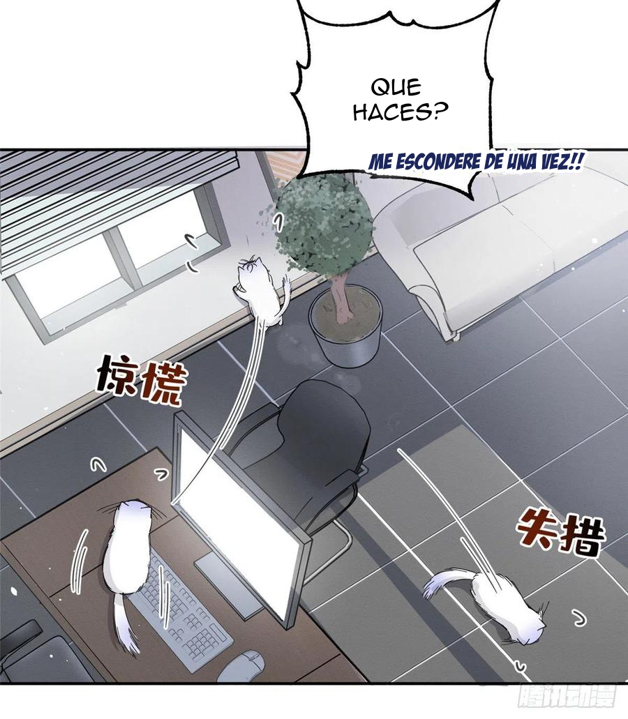 17 Tengo que trabajar duro para ser un gato hoy!